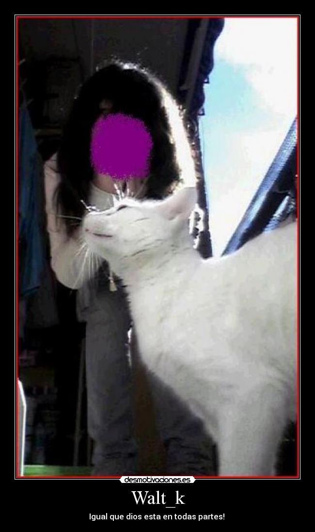 Walt_k - Igual que dios esta en todas partes!