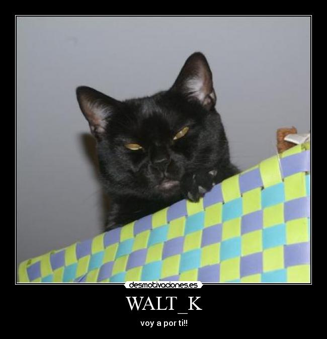 WALT_K - 