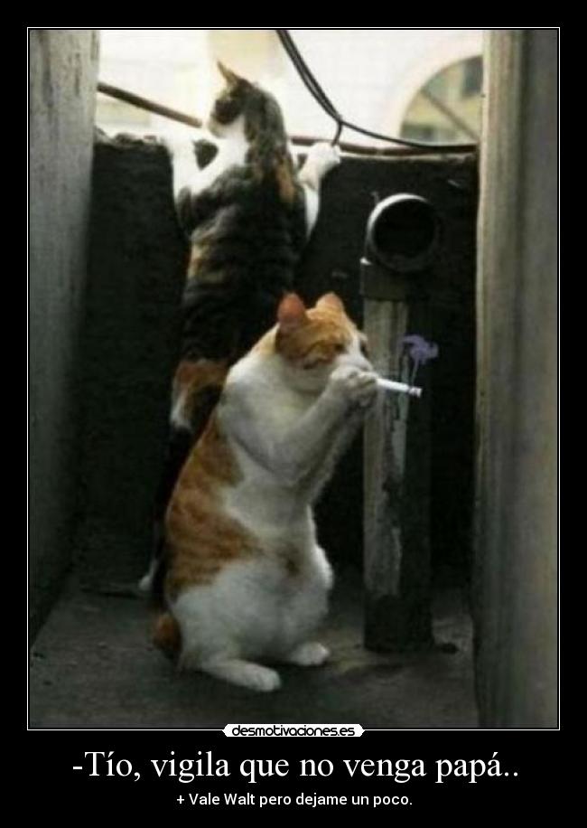 -Tío, vigila que no venga papá.. -