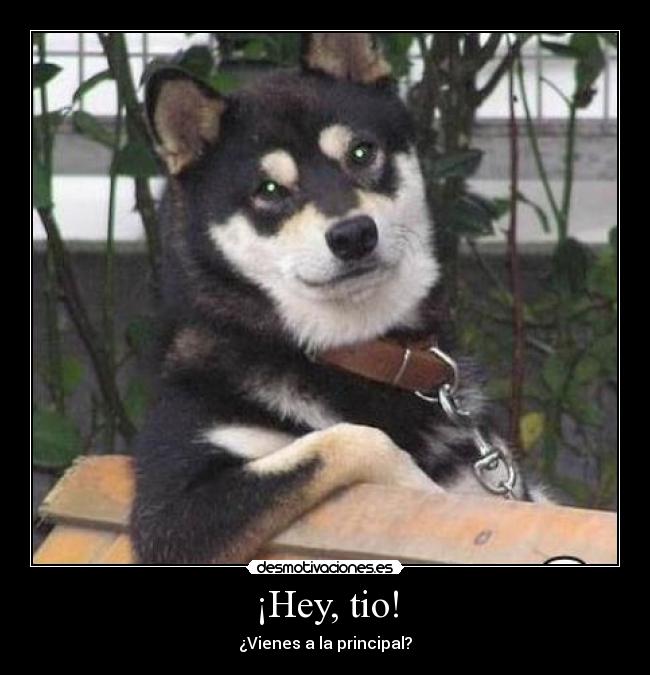 ¡Hey, tio! - ¿Vienes a la principal?