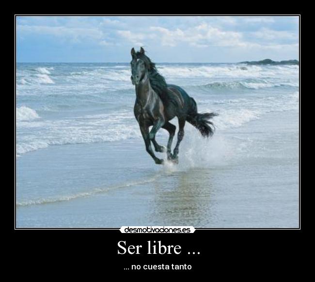 Ser libre ... - 