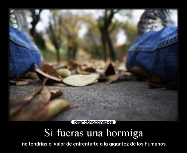 Si fueras una hormiga - no tendrías el valor de enfrentarte a la gigantez de los humanos