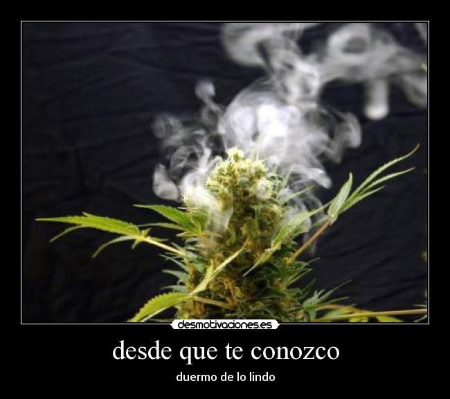 desde que te conozco -