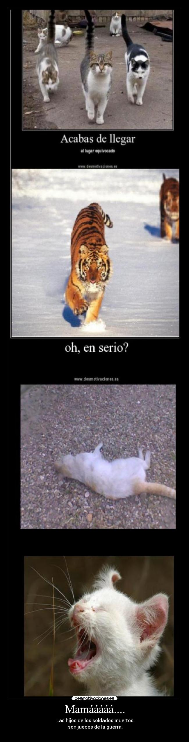 Mamááááá.... - Las hijos de los soldados muertos
son jueces de la guerra.