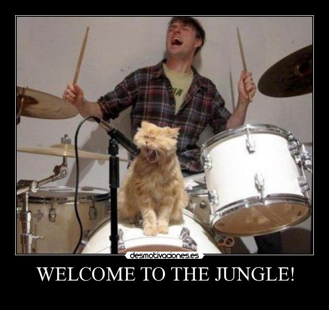 WELCOME TO THE JUNGLE! - 