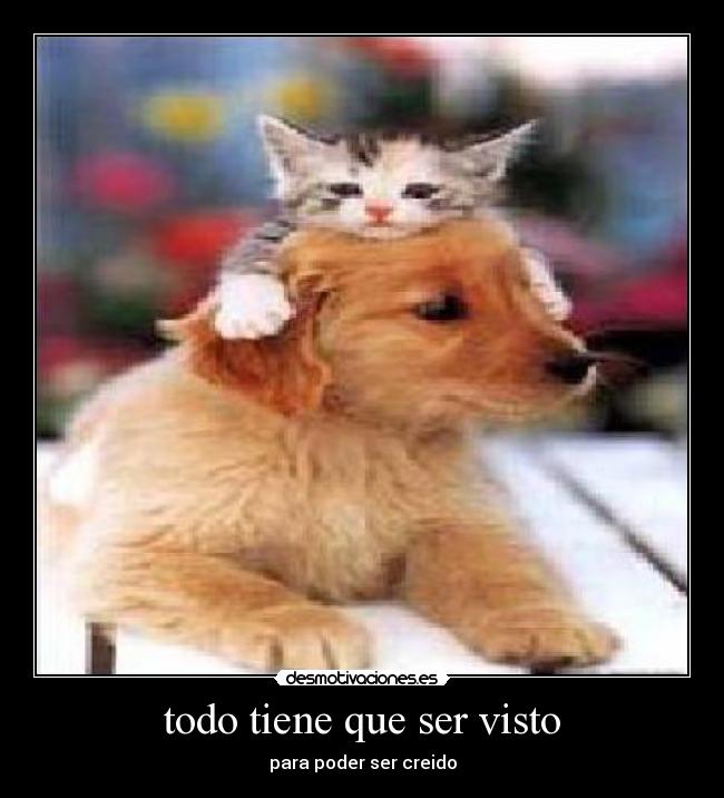 todo tiene que ser visto - para poder ser creido