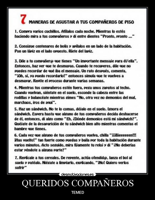 QUERIDOS COMPAÑEROS - TEMED