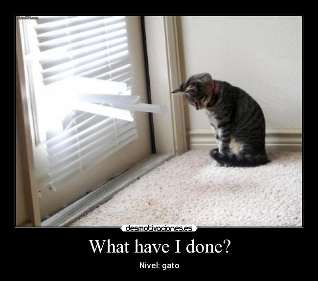 carteles gato desmotivaciones