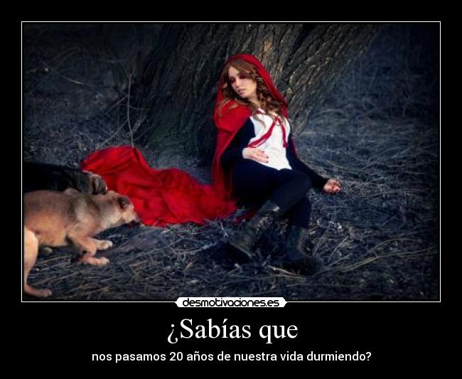 carteles wonka27 desmotivaciones