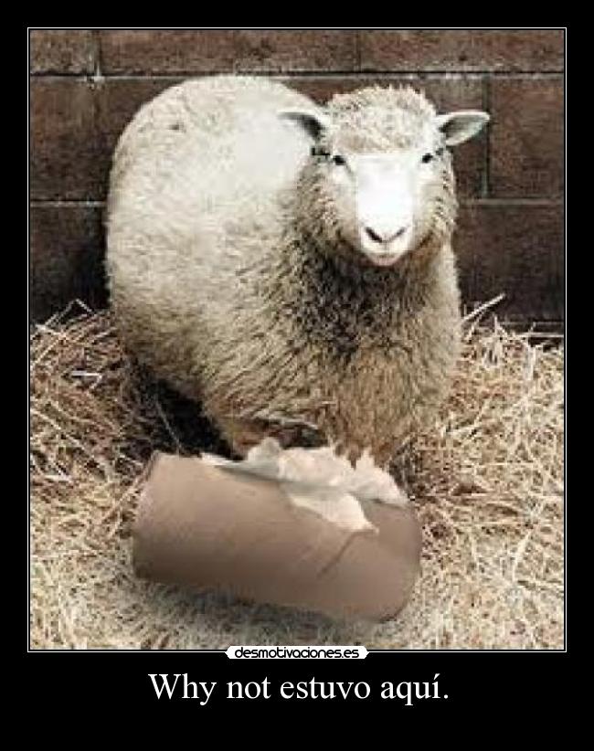 Why not estuvo aquí. -