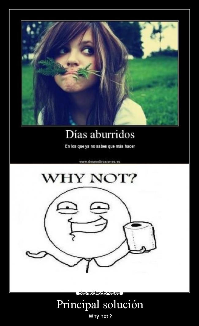 Principal solución -