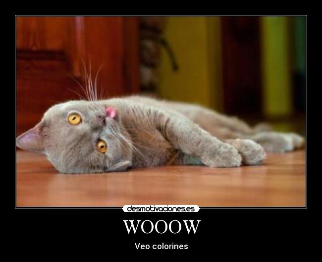 WOOOW - Veo colorines