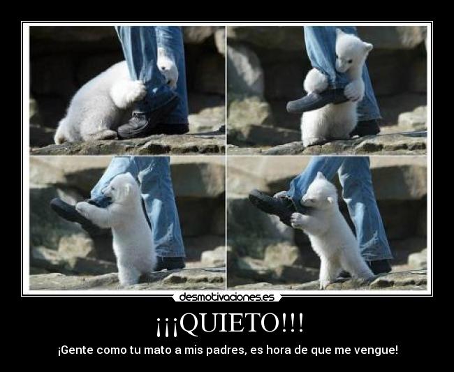 ¡¡¡QUIETO!!! - 