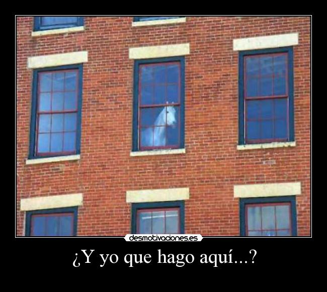 ¿Y yo que hago aquí...? - 