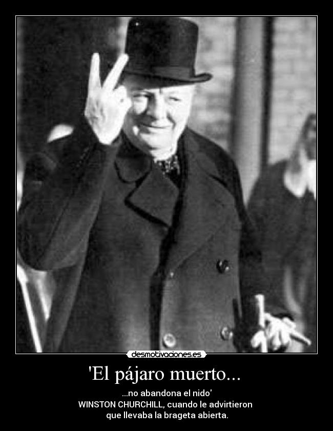 El pájaro muerto...  - ...no abandona el nido
WINSTON CHURCHILL, cuando le advirtieron 
que llevaba la brageta abierta.