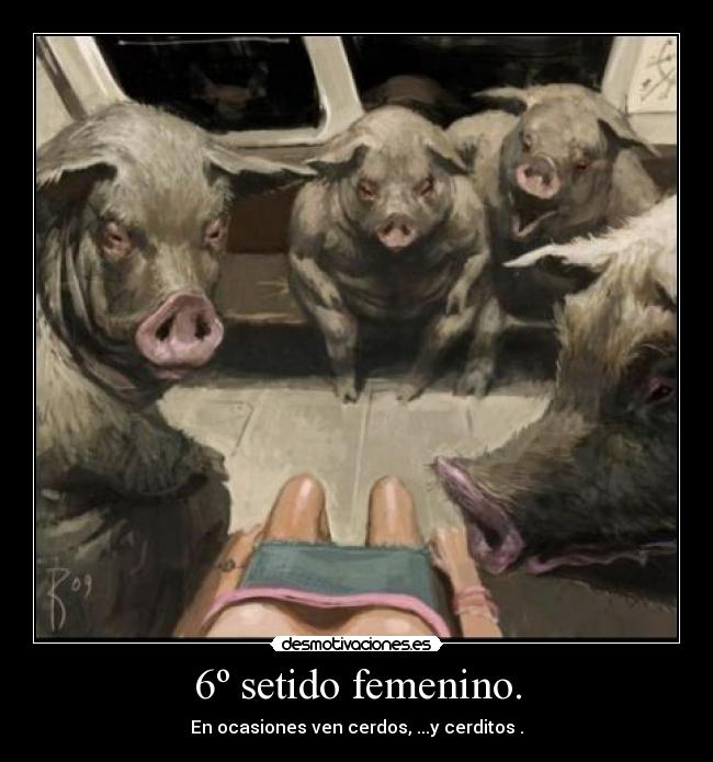 carteles chica mujer cerdos salidos teta escote sexy fail wtf desmotivaciones