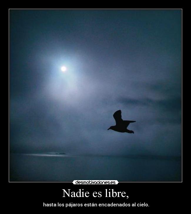 Nadie es libre, - hasta los pájaros están encadenados al cielo.