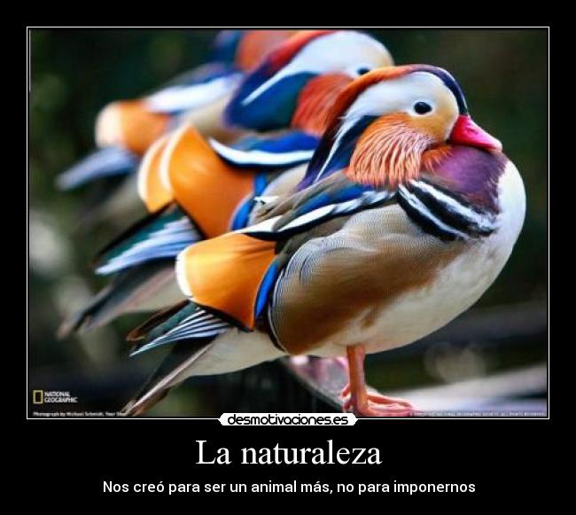 La naturaleza - 