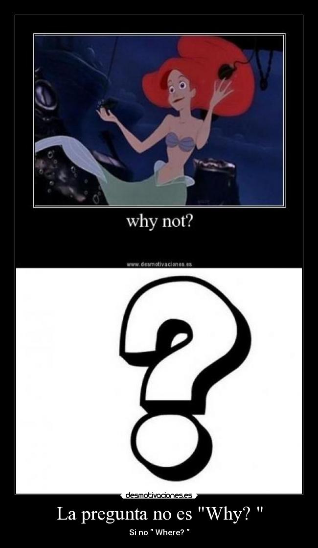 La pregunta no es Why? -