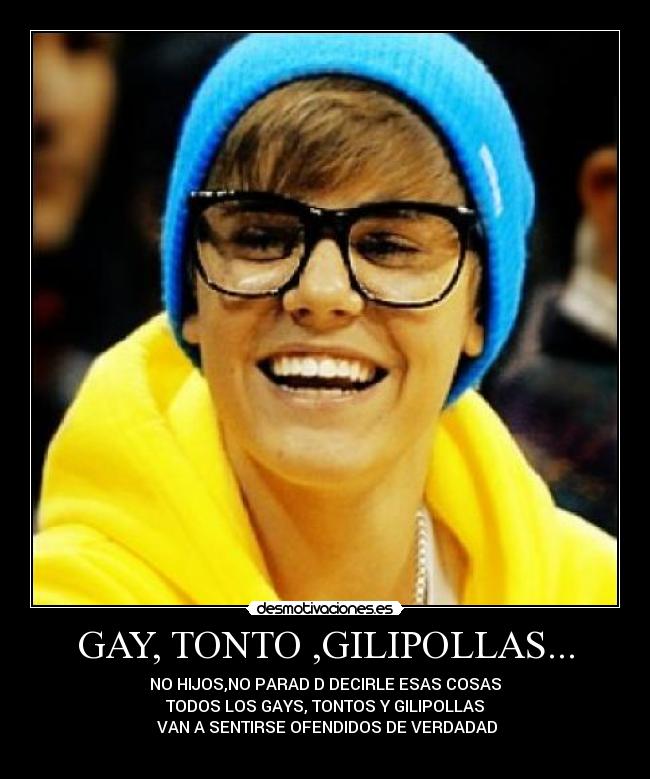 GAY, TONTO ,GILIPOLLAS... - 