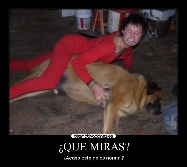 carteles creo que desmotivaciones