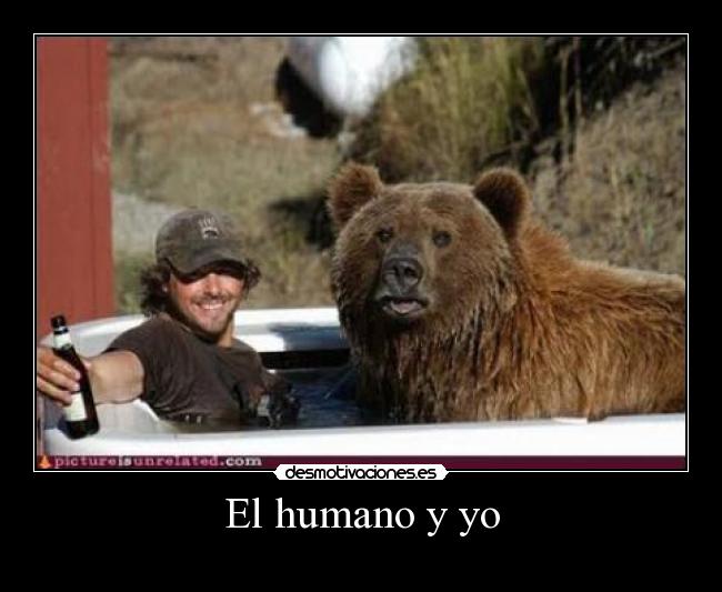 carteles humano desmotivaciones