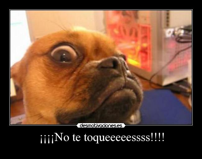 carteles nooooooooooooooooooooooooooo toqueeeeeeeeeesss desmotivaciones