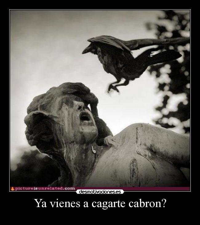 Ya vienes a cagarte cabron? - 