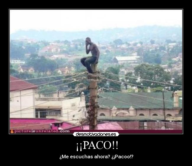 ¡¡PACO!! - ¿Me escuchas ahora? ¿¡Pacoo!?