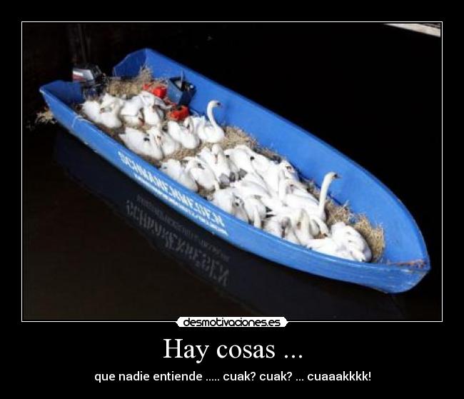 Hay cosas ... - que nadie entiende ..... cuak? cuak? ... cuaaakkkk!