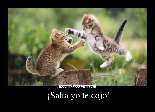 ¡Salta yo te cojo! -