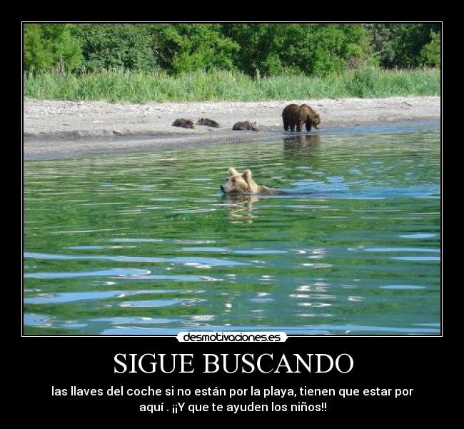 SIGUE BUSCANDO -