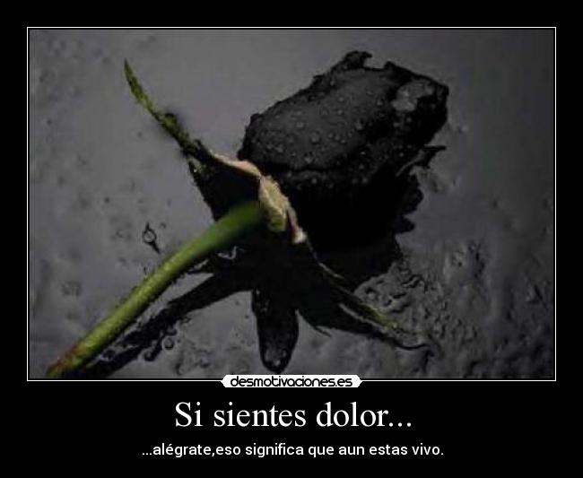 Si sientes dolor... - ...alégrate,eso significa que aun estas vivo.