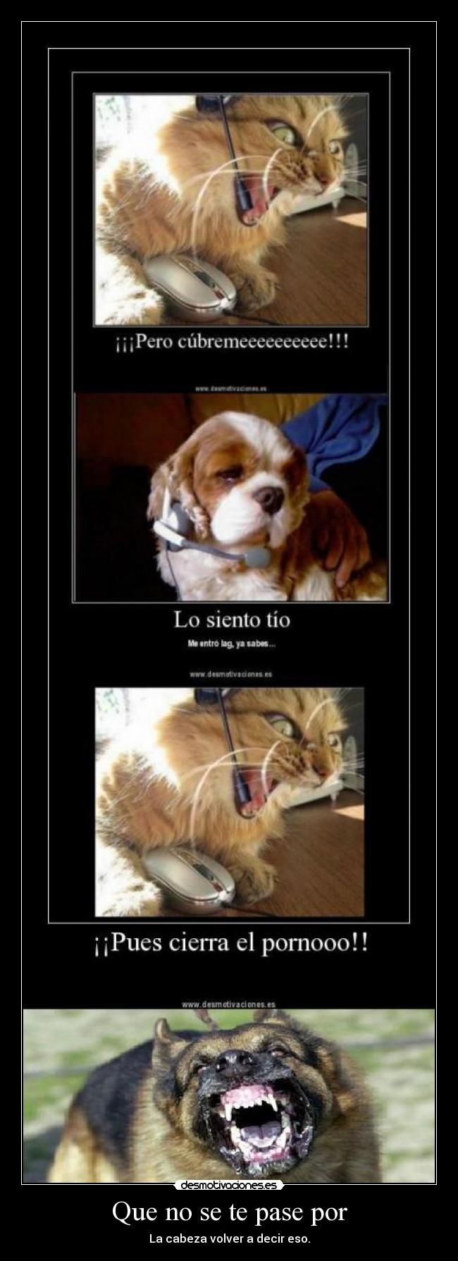 Que no se te pase por - La cabeza volver a decir eso.