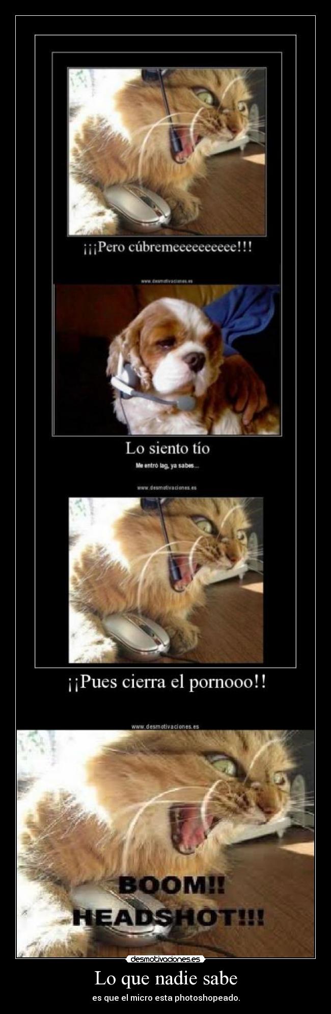 carteles que nadie sabe desmotivaciones