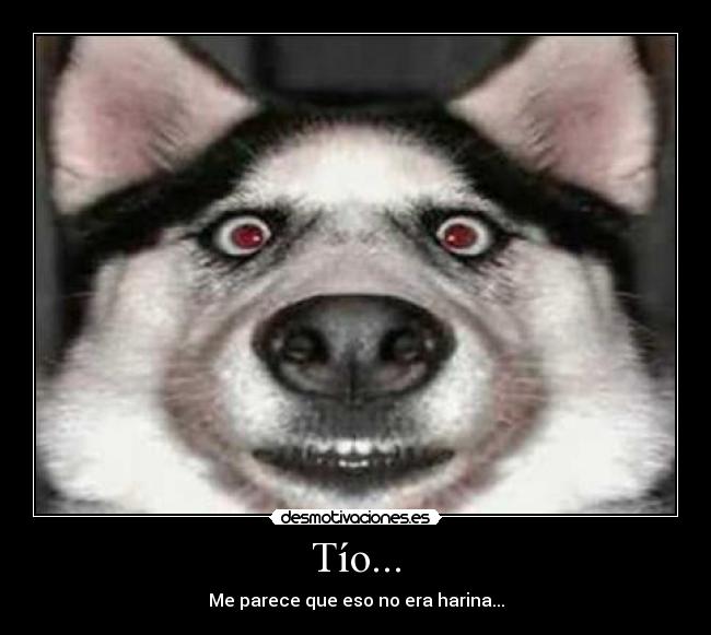 Tío... -