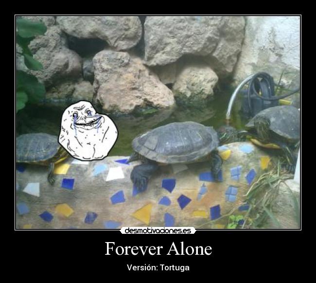 Forever Alone -