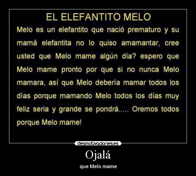 Ojalá - que Melo mame