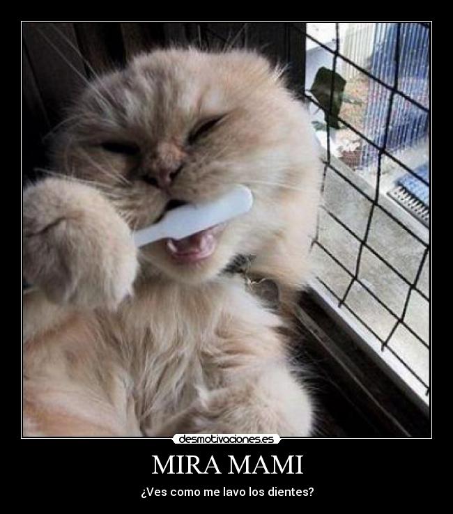 MIRA MAMI - ¿Ves como me lavo los dientes?