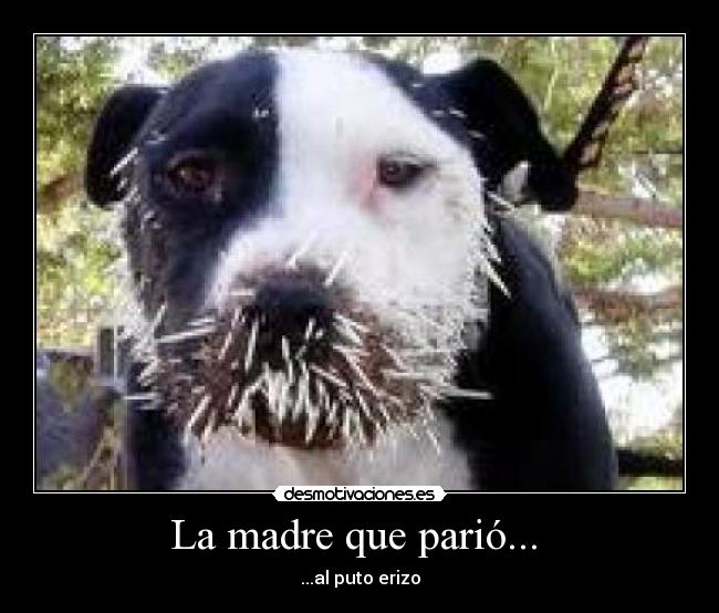 La madre que parió...  - 
