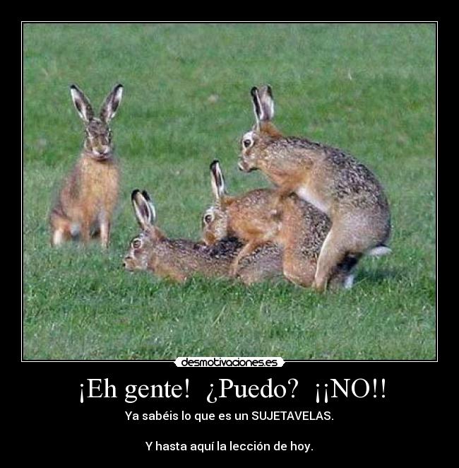 ¡Eh gente! ¿Puedo? ¡¡NO!! -