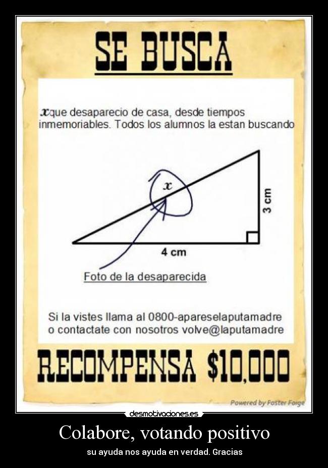 Colabore, votando positivo -
