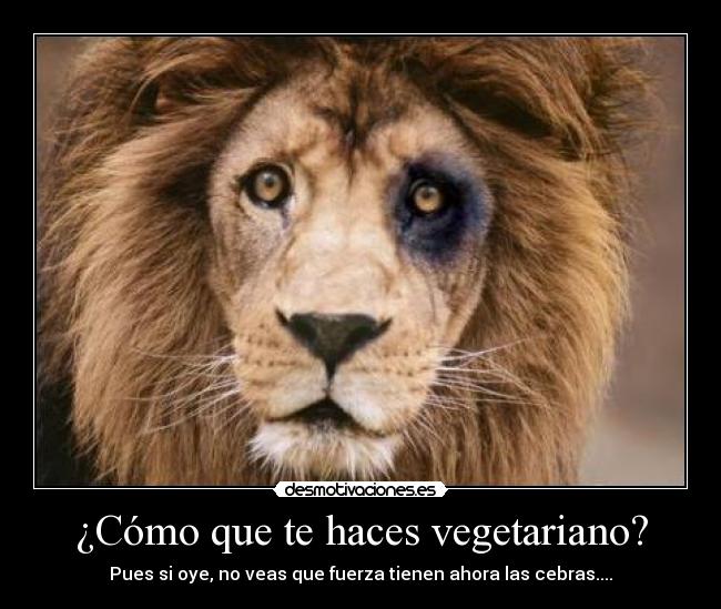 ¿Cómo que te haces vegetariano? - Pues si oye, no veas que fuerza tienen ahora las cebras....