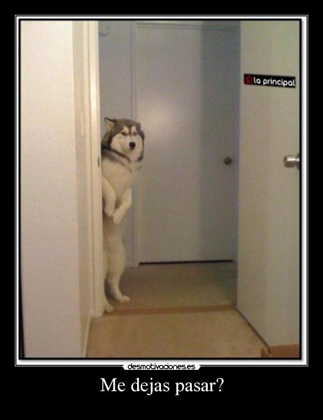 Me dejas pasar? -