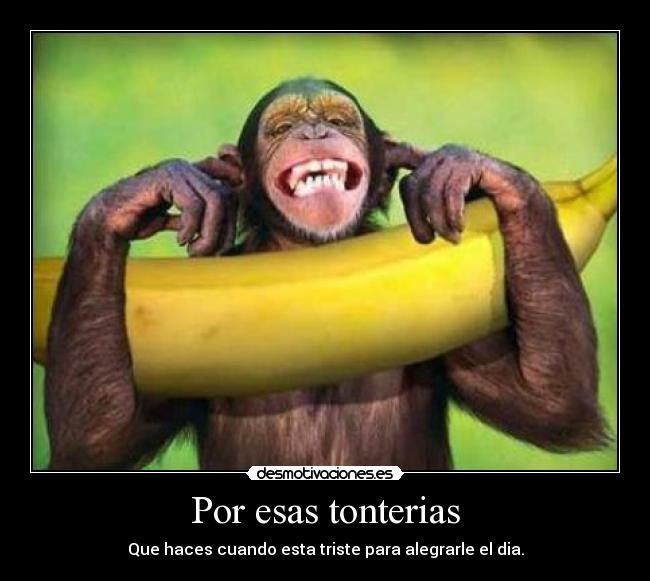 Por esas tonterias - Que haces cuando esta triste para alegrarle el dia.