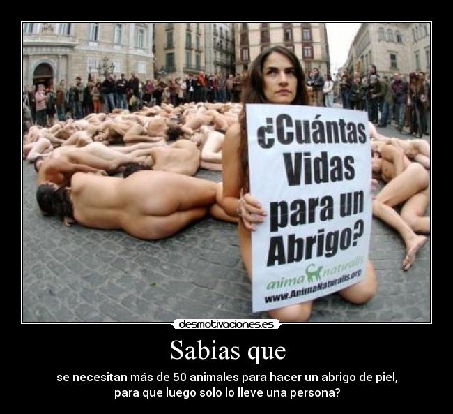 carteles sabias que desmotivaciones