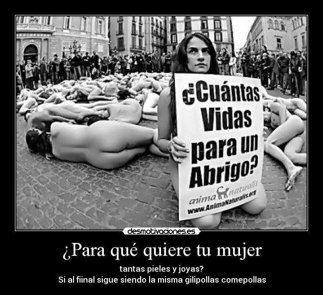 ¿Para qué quiere tu mujer -