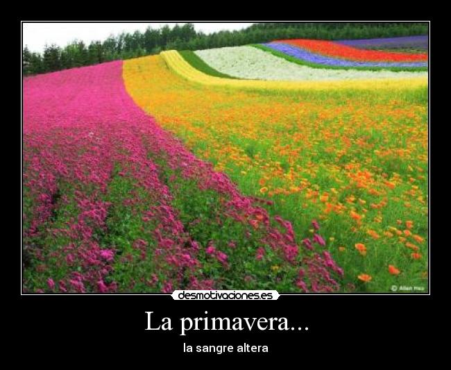 La primavera... -