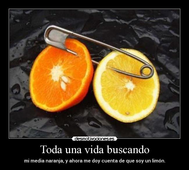 Toda una vida buscando -