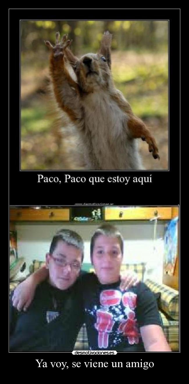 Ya voy, se viene un amigo -